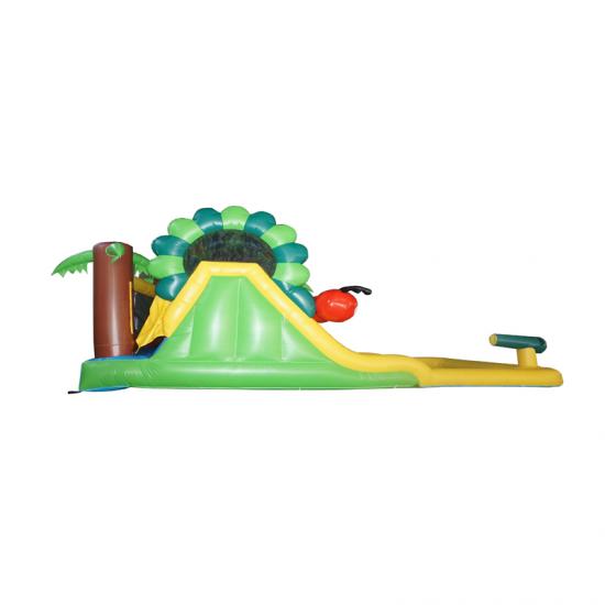 bounce house waterslide inflatable